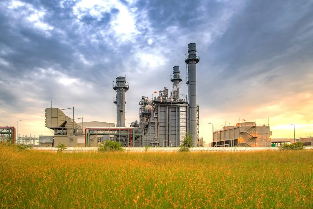 Power plant behind field of flowers at sunset.